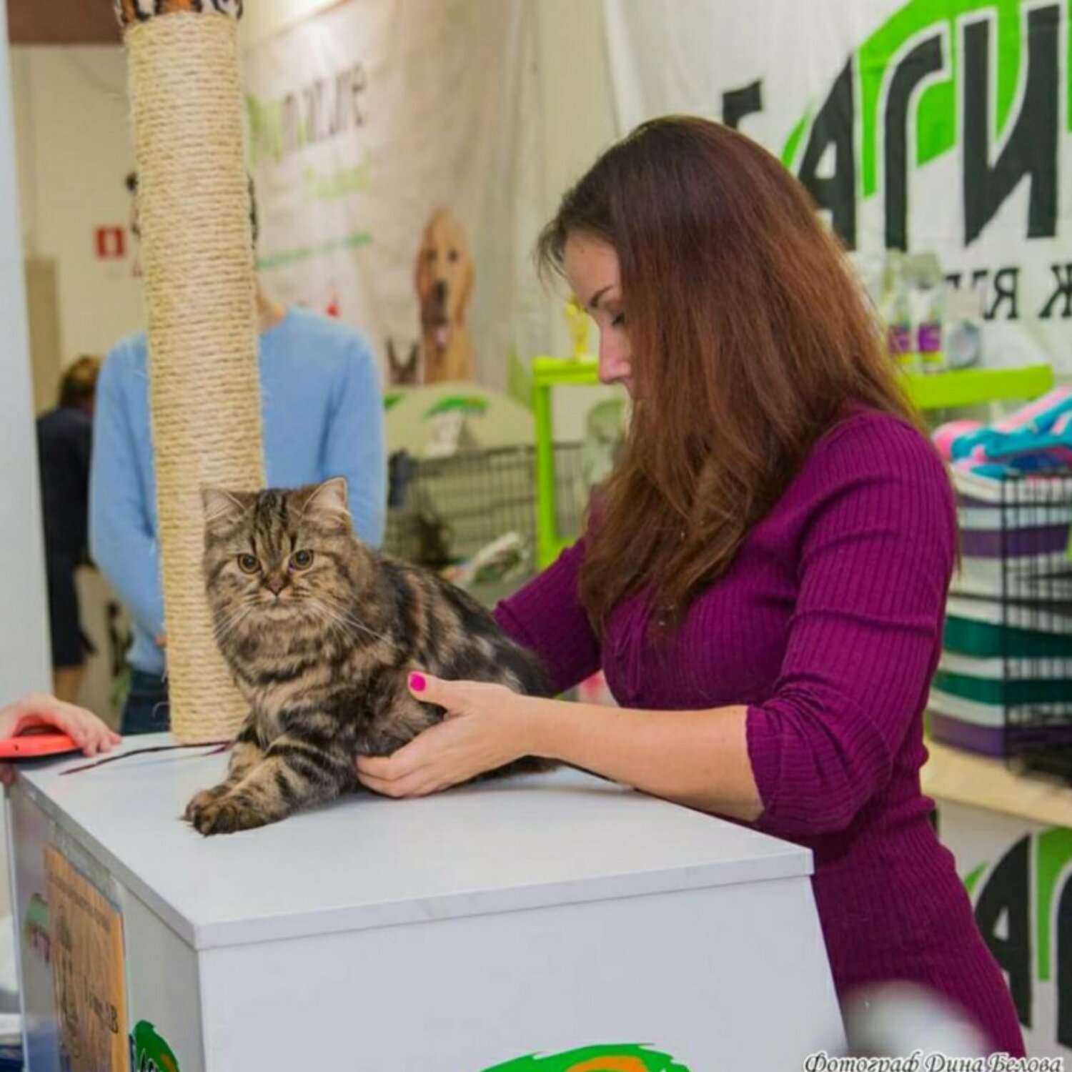 подготовка к выставкам