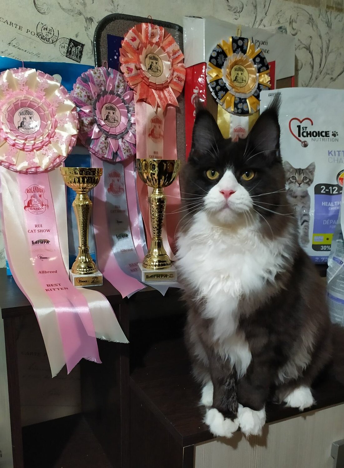 подготовка к выставкам