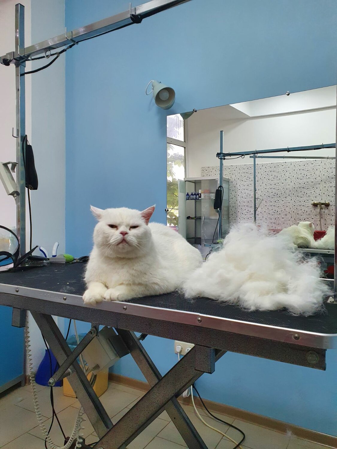 Вычесывание