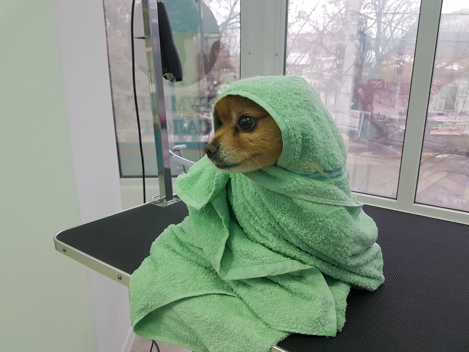 Процедура экспресс линька