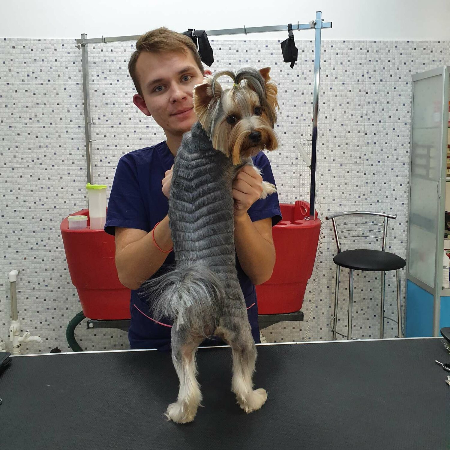 Стрижка собак