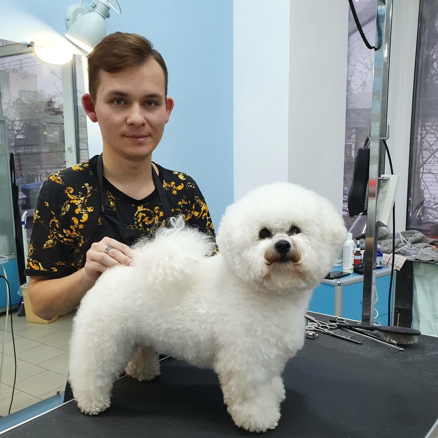 Стрижка собак