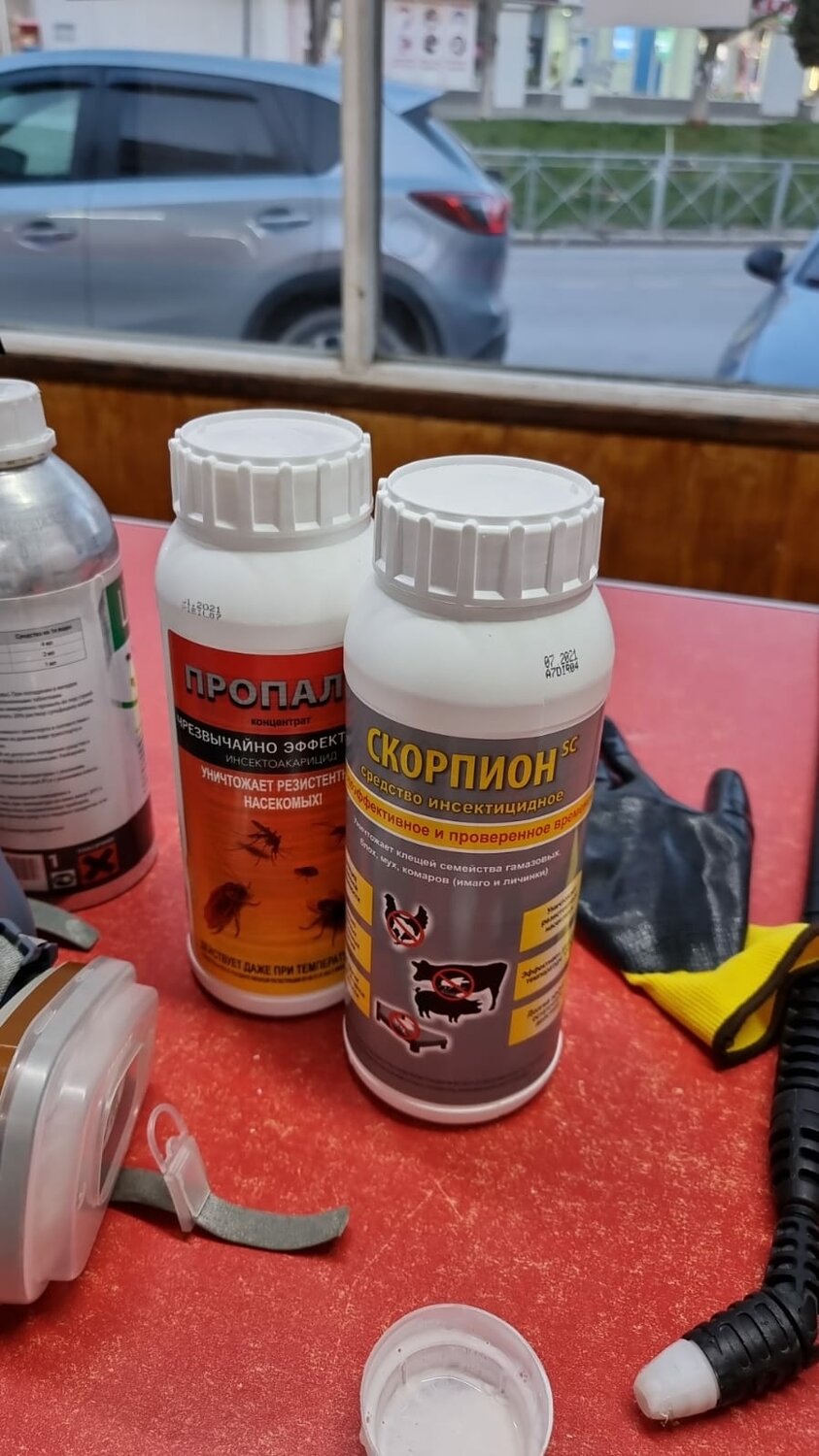 Обработка холодным туманом