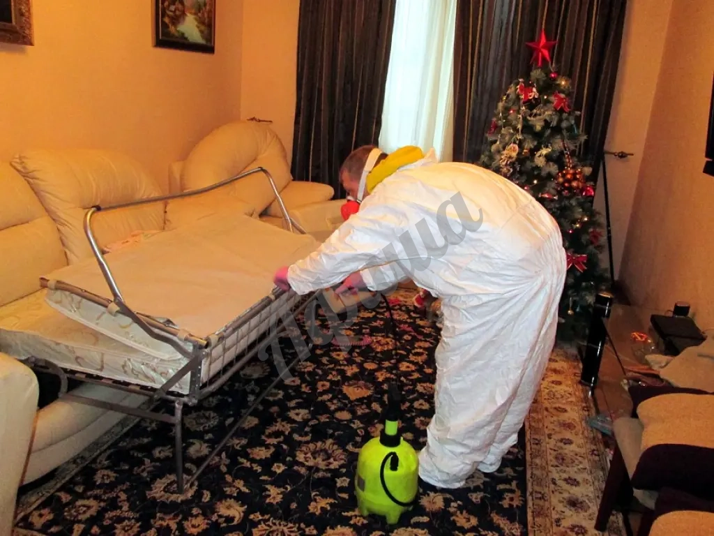 Профессиональное уничтожение блох – единственный способ гарантировать результат