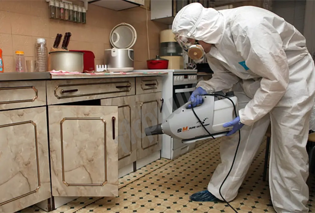 Надоели тараканы в Симферополе или области? Уничтожим их раз и навсегда