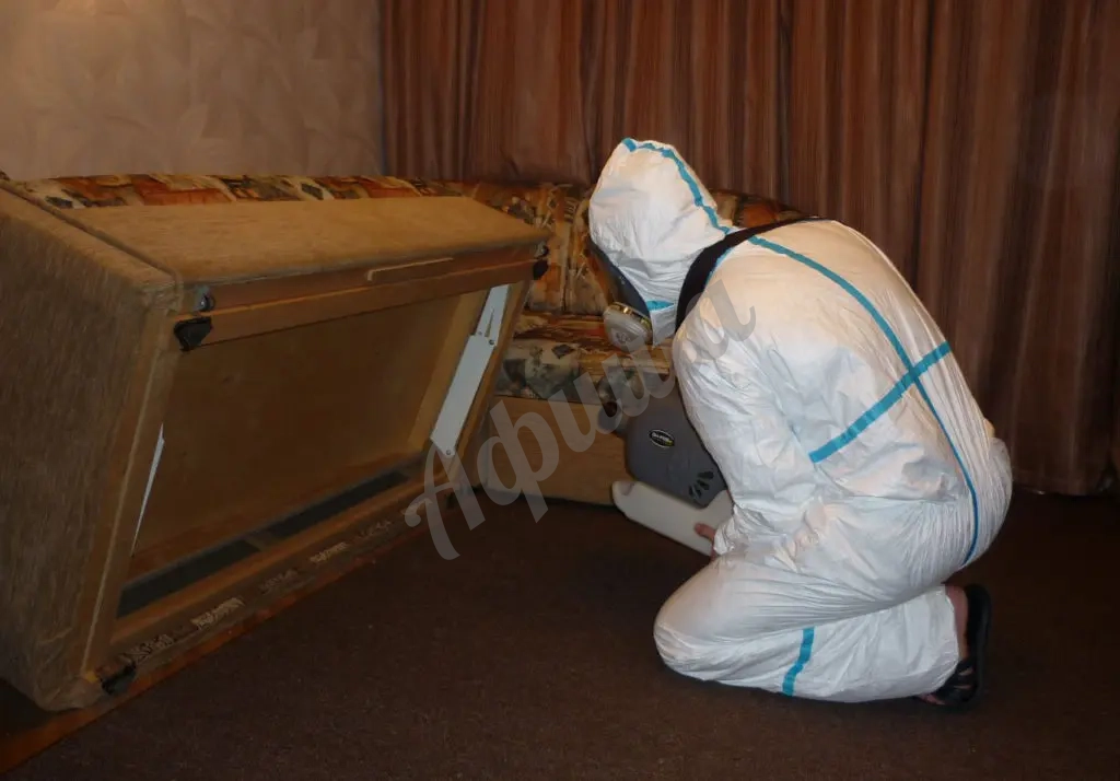 Уничтожение клопов в Симферополе и области с гарантией до 1 года!