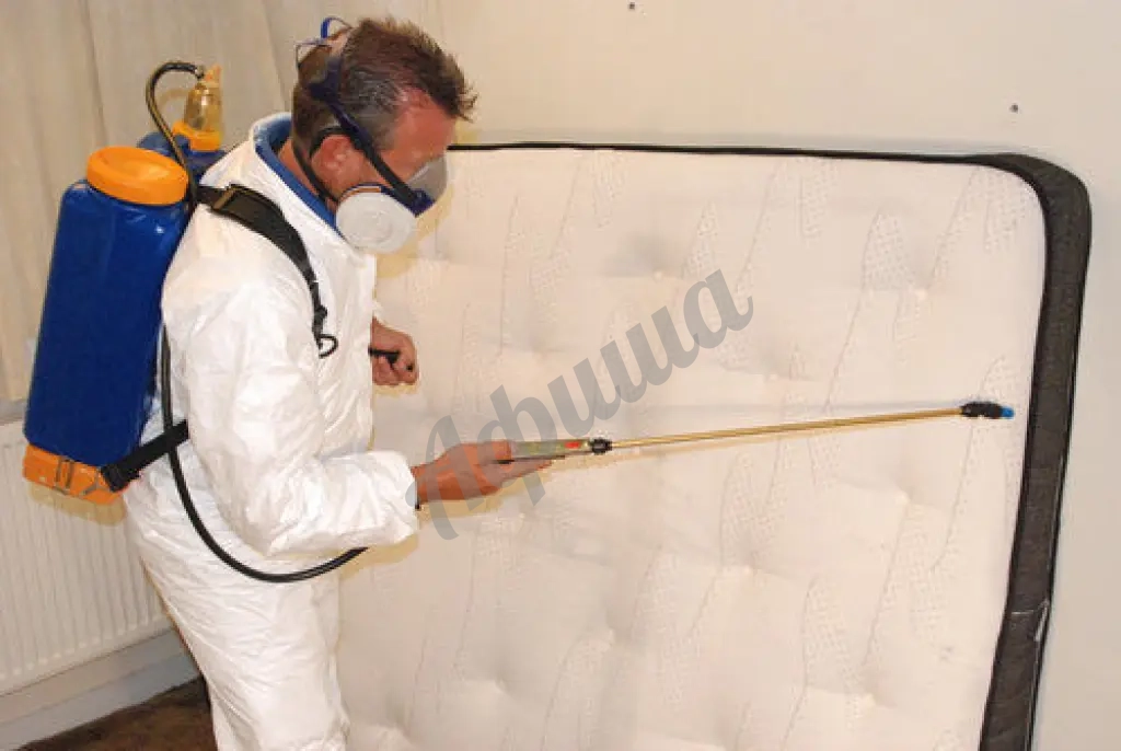 Профессиональное уничтожение блох – единственный способ гарантировать результат