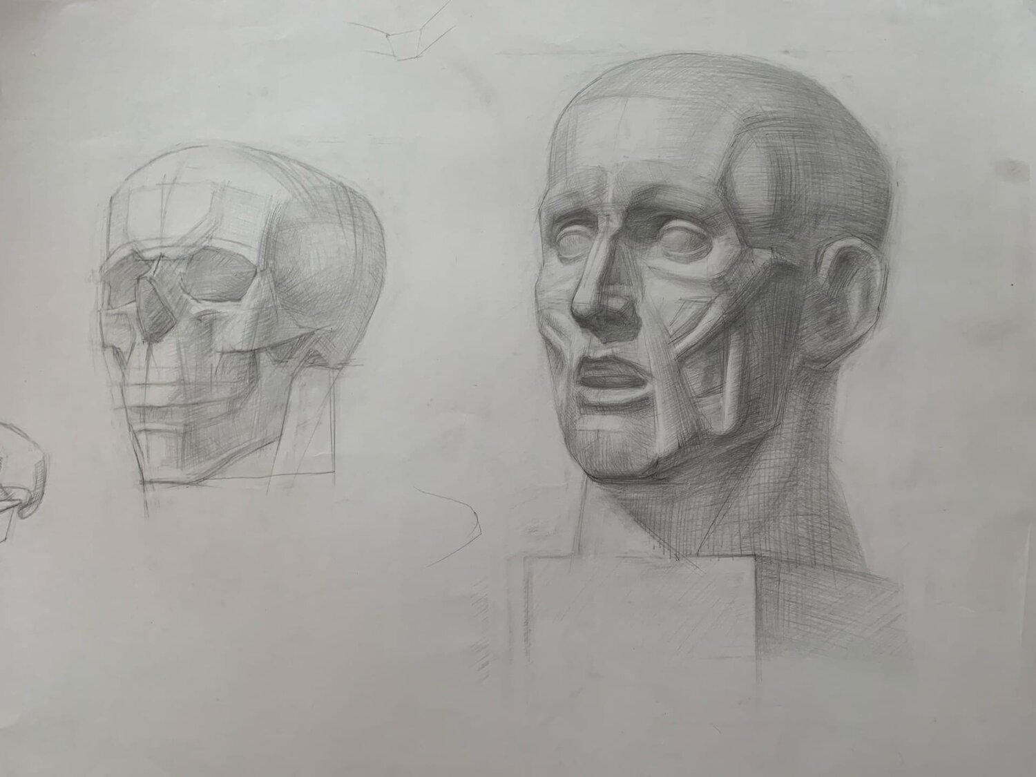 Курс рисунка для подготовки к поступлению в университет им. С. Г. Строганова