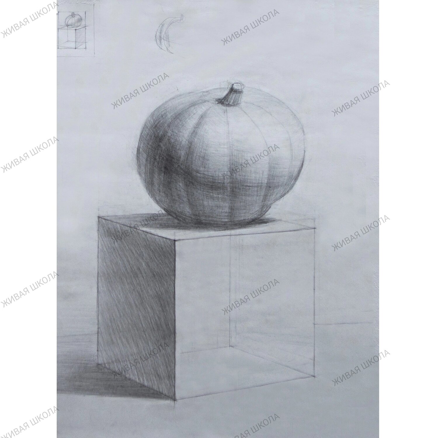 Курс рисунка для поступления в творческий ВУЗ