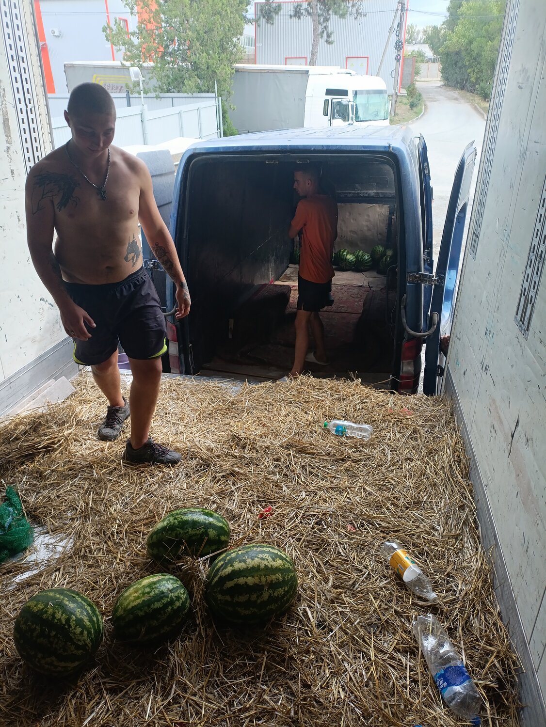 услуги грузчиков цена