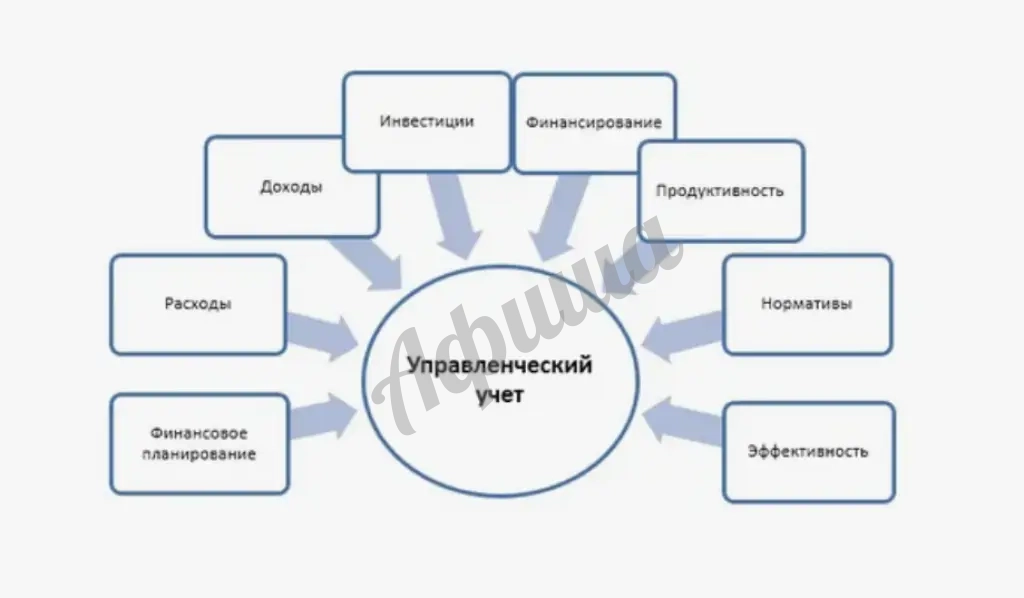 Внедрение и постановка управленческого учета