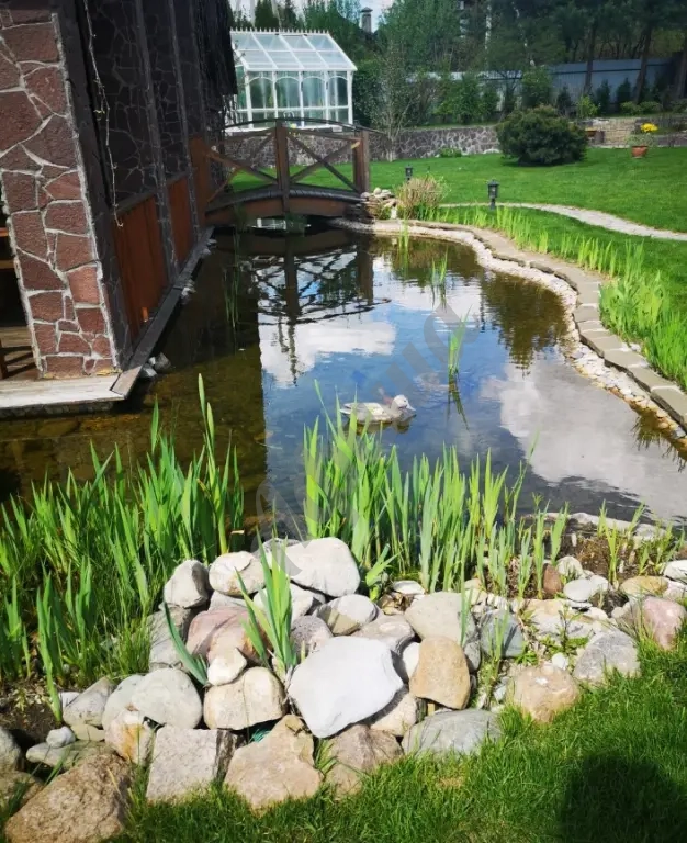 Создание искусственного водоема