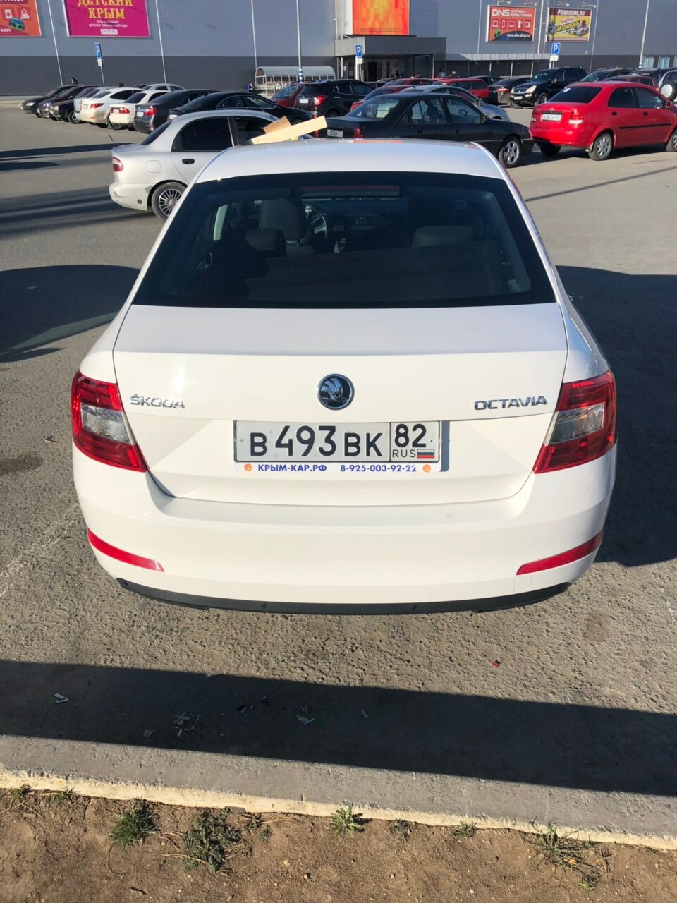 Skoda Octavia в аренду — эталон надёжности и комфорта