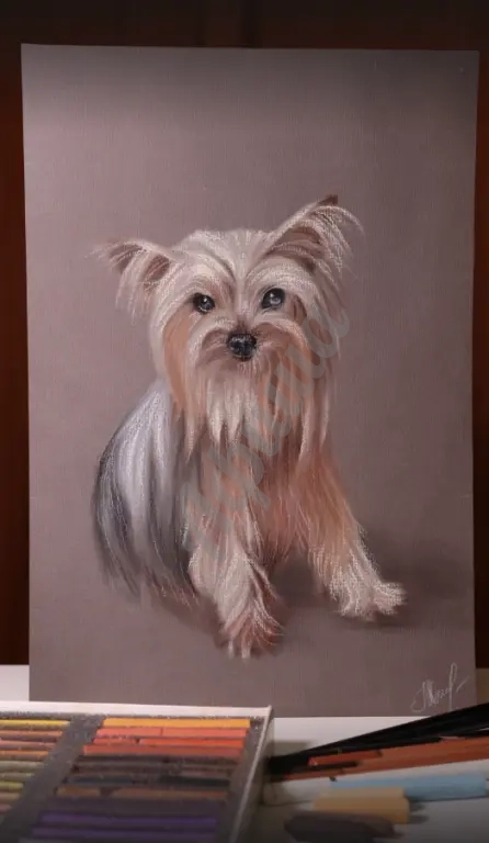 ЗООПОРТРЕТ НА ЗАКАЗ