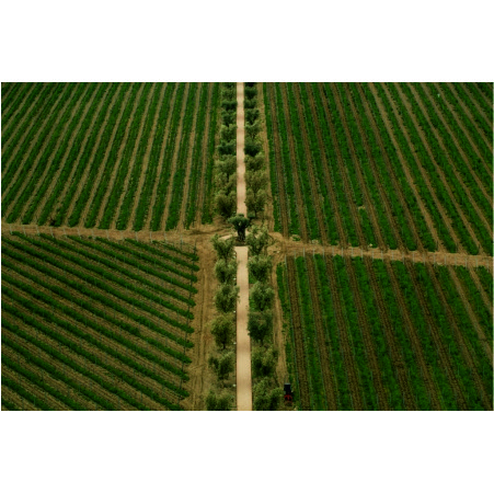 Винный парк Winepark