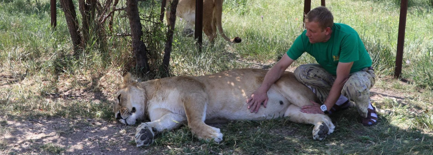 Парк львов "Тайган"